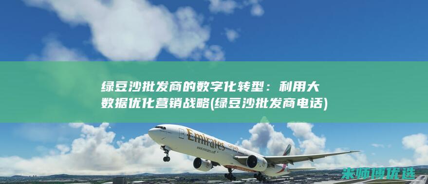 绿豆沙批发商的数字化转型：利用大数据优化营销战略 (绿豆沙批发商电话)