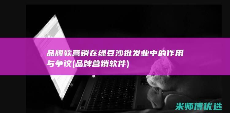 品牌软营销在绿豆沙批发业中的作用与争议 (品牌营销软件)