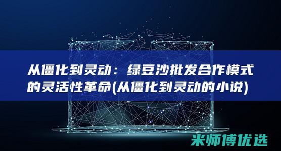 从僵化到灵动：绿豆沙批发合作模式的灵活性革命 (从僵化到灵动的小说)