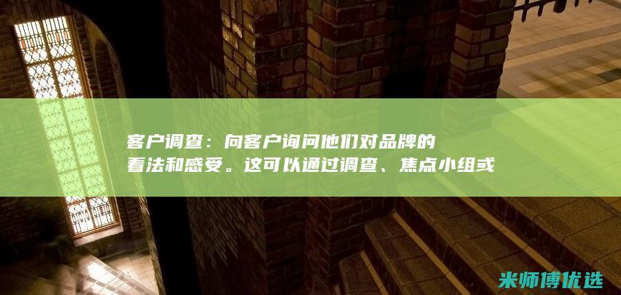 客户调查：向客户询问他们对品牌的看法和感受。这可以通过调查、焦点小组或在线评论收集反馈。(对客户进行调查的调查报告)