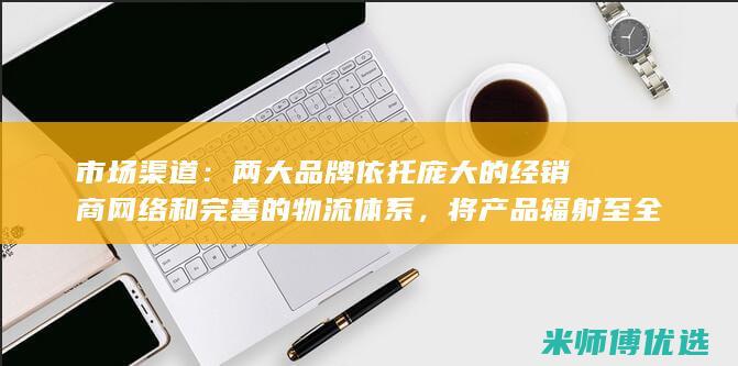 市场渠道：两大品牌依托庞大的经销商网络和完善的物流体系，将产品辐射至全国各地，满足不同区域消费者的需求。(市场渠道什么意思)