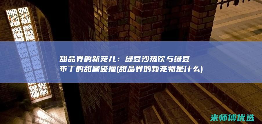 甜品界的新宠儿：绿豆沙热饮与绿豆布丁的甜蜜碰撞 (甜品界的新宠物是什么)