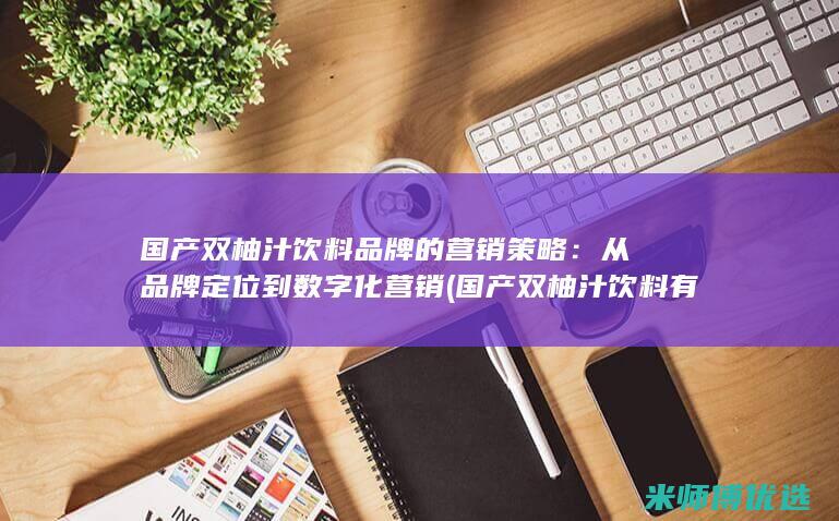 国产双柚汁饮料品牌的营销策略：从品牌定位到数字化营销 (国产双柚汁饮料有哪些)