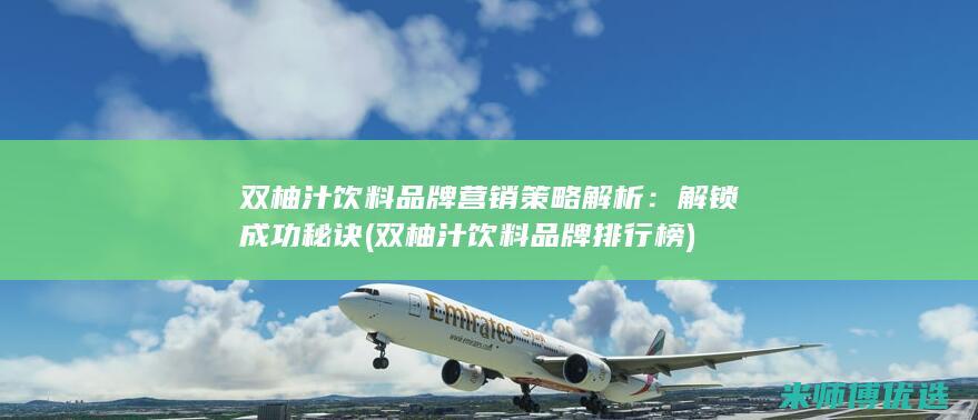 双柚汁饮料品牌营销策略解析：解锁成功秘诀 (双柚汁饮料品牌排行榜)