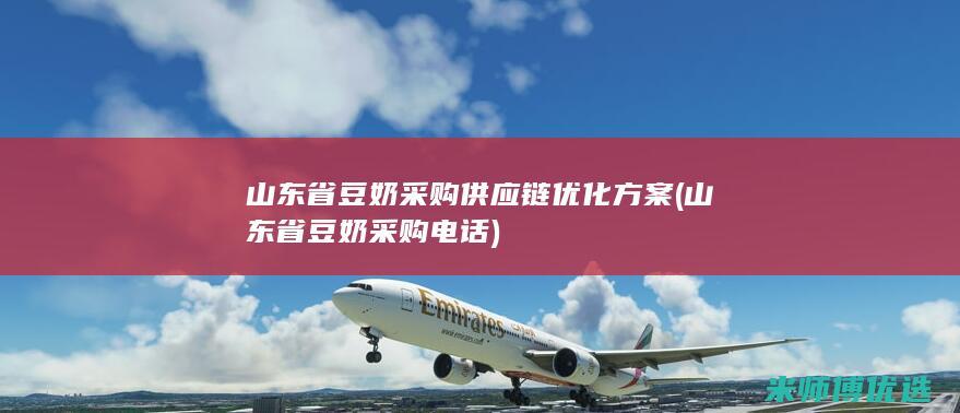 山东省豆奶采购供应链优化方案 (山东省豆奶采购电话)