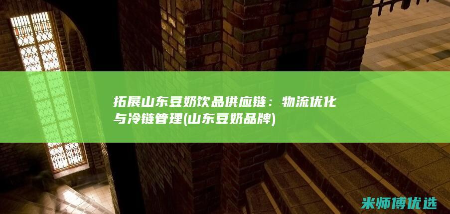 拓展山东豆奶饮品供应链：物流优化与冷链管理 (山东豆奶品牌)