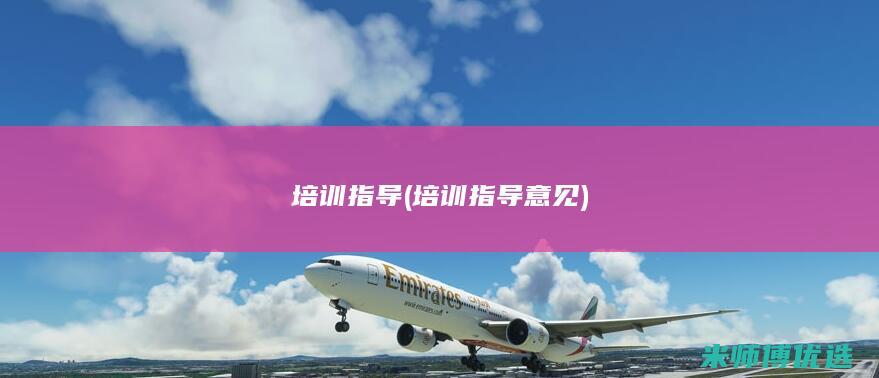 培训指导 (培训指导意见)