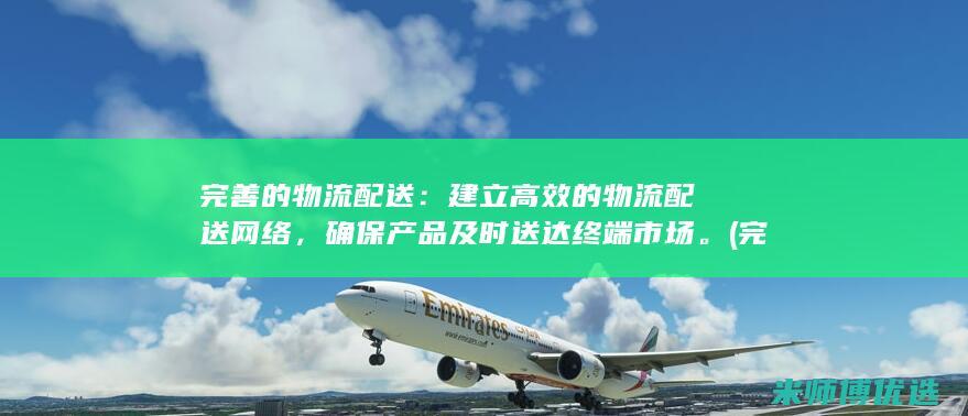 完善的物流配送：建立高效的物流配送网络，确保产品及时送达终端市场。(完善的物流配送体系是什么)