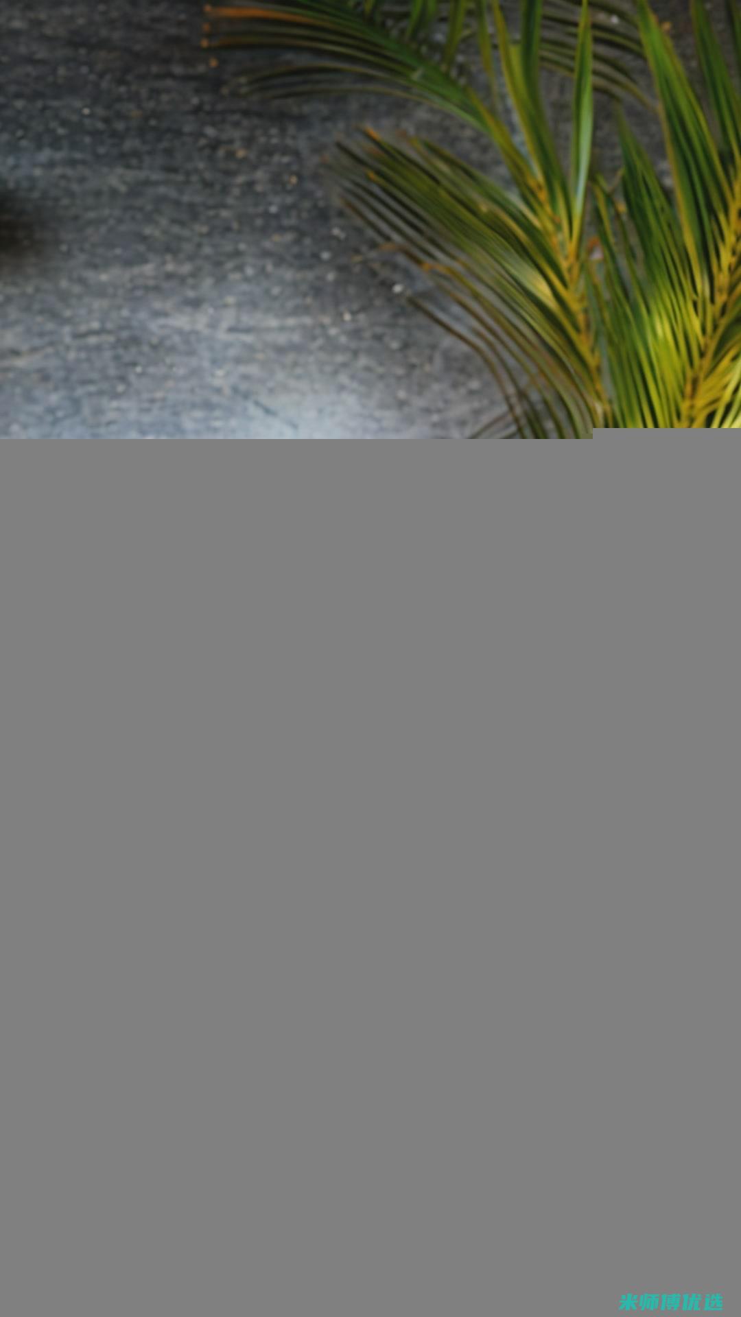 济南绿豆奶产品代销的机遇与挑战 (济南绿豆奶产地在哪里)