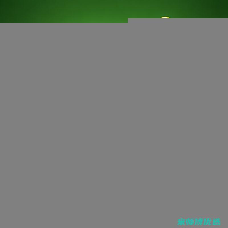 合肥植物奶饮料代加工服务全解析 (合肥植物奶饮料厂家)