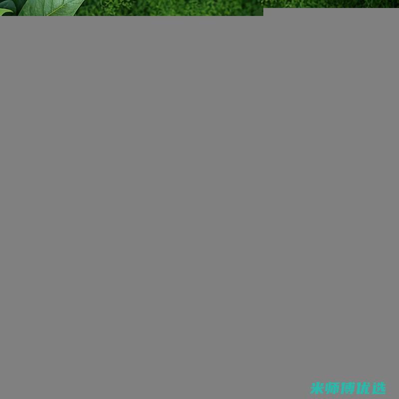 佛山果汁直销工厂：品质与实惠的完美结合 (佛山果汁直销店)