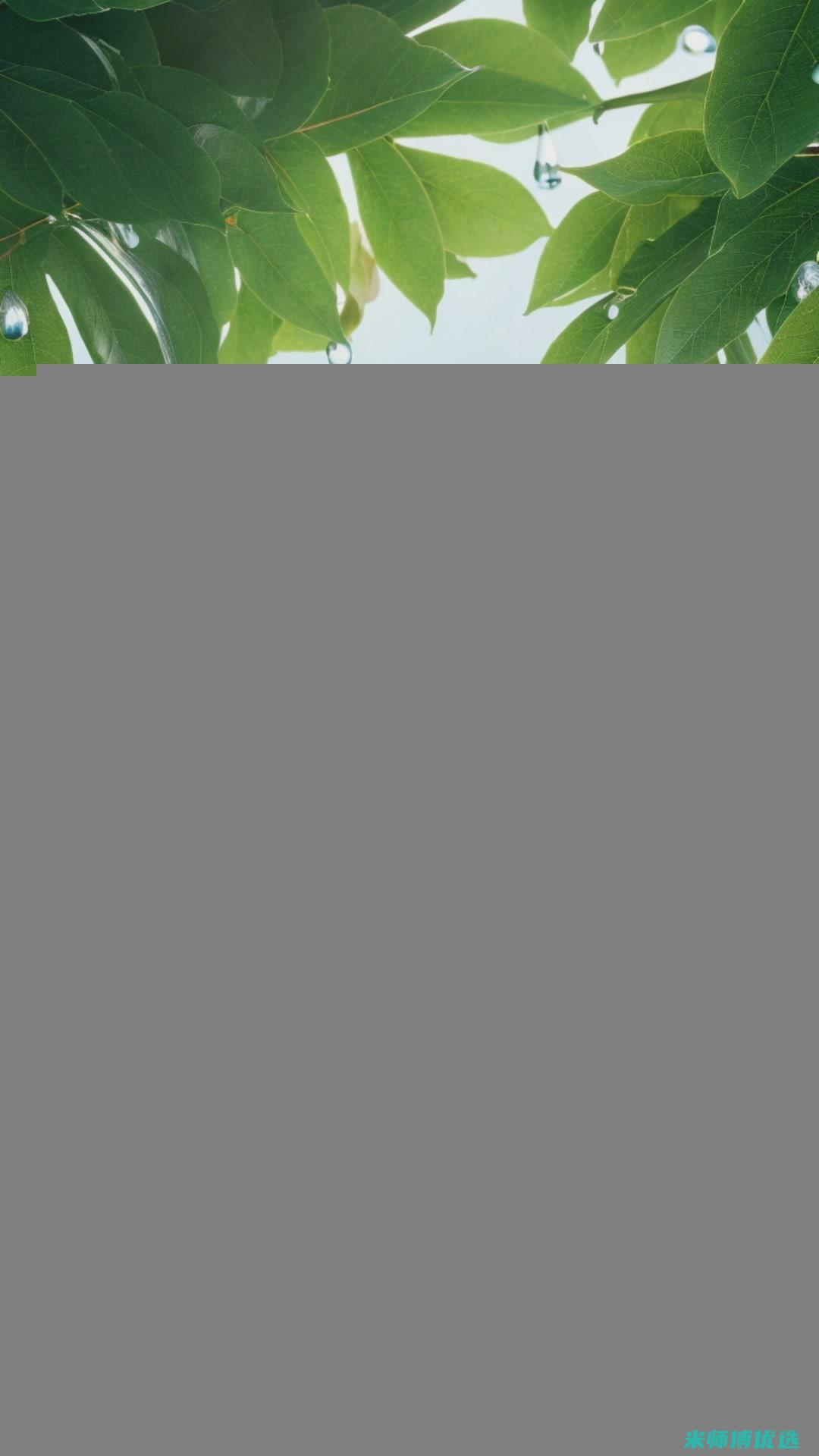 东莞饮料厂家的崛起之路 (东莞饮料厂家排名)