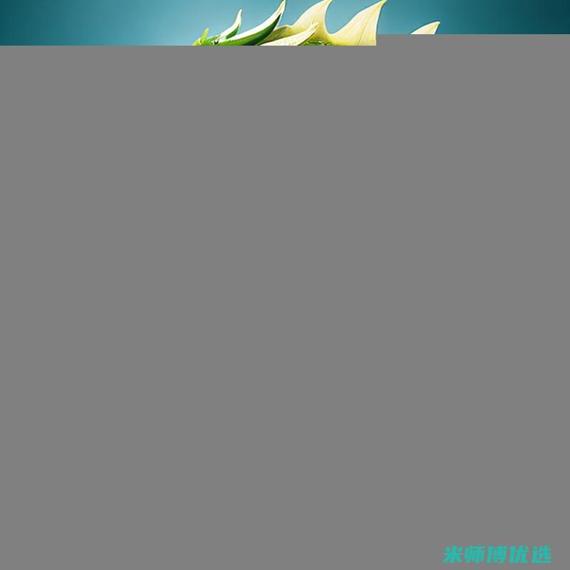 哈尔滨豆奶饮品特许经营的无限商机 (哈尔滨豆奶粉厂家)