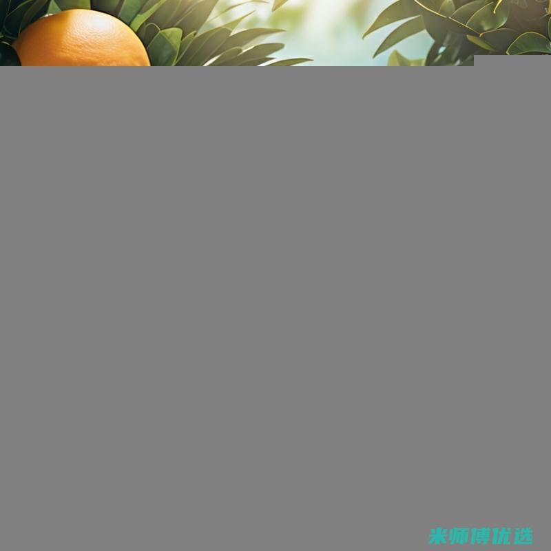 福州冬季饮品代工：品质与创新的融合 (福州冬季饮品批发市场)