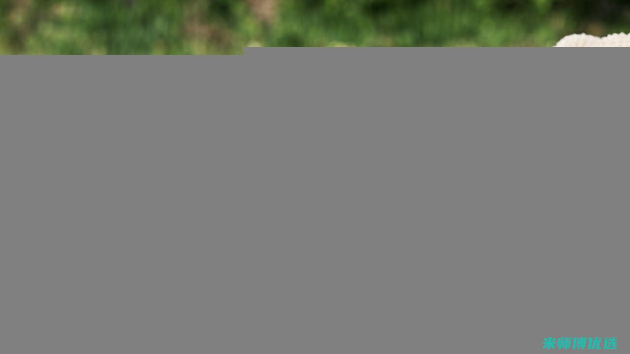 福州 0 添加果汁 OEM 代加工的秘密探索