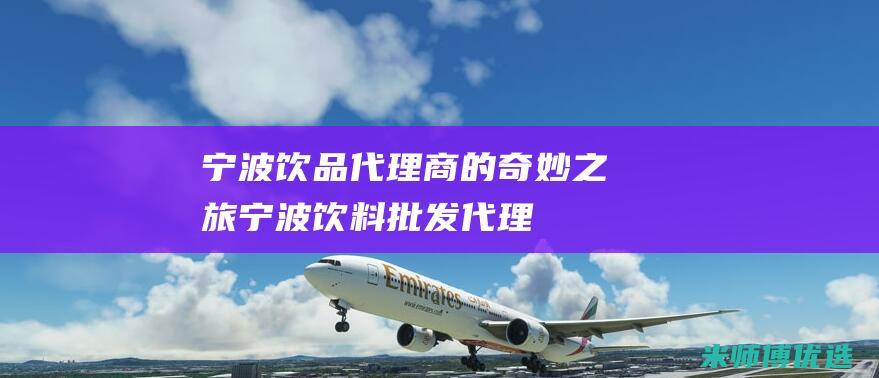 宁波饮品代理商的奇妙之旅 (宁波饮料批发代理)