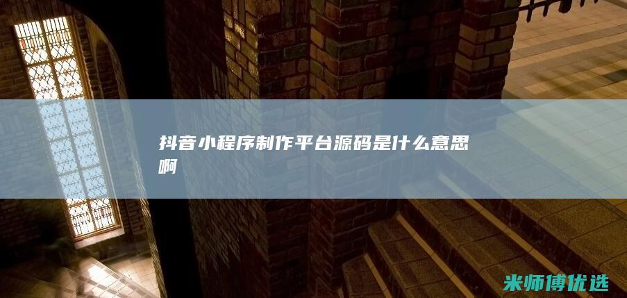 抖音小程序制作平台源码是什么意思啊
