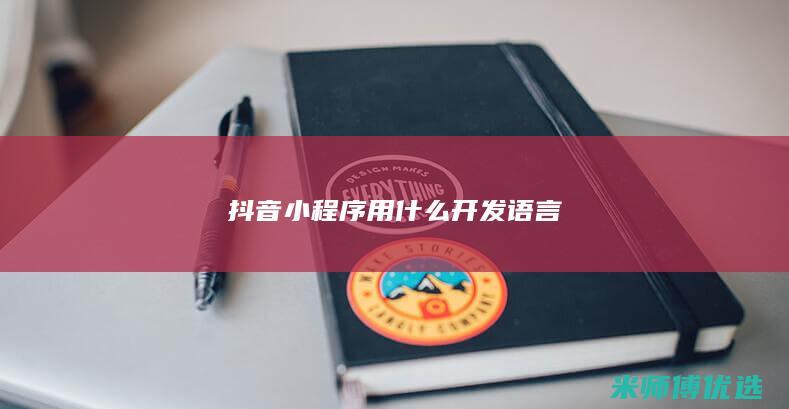 抖音小程序用什么开发语言