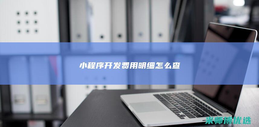 小程序开发费用明细怎么查