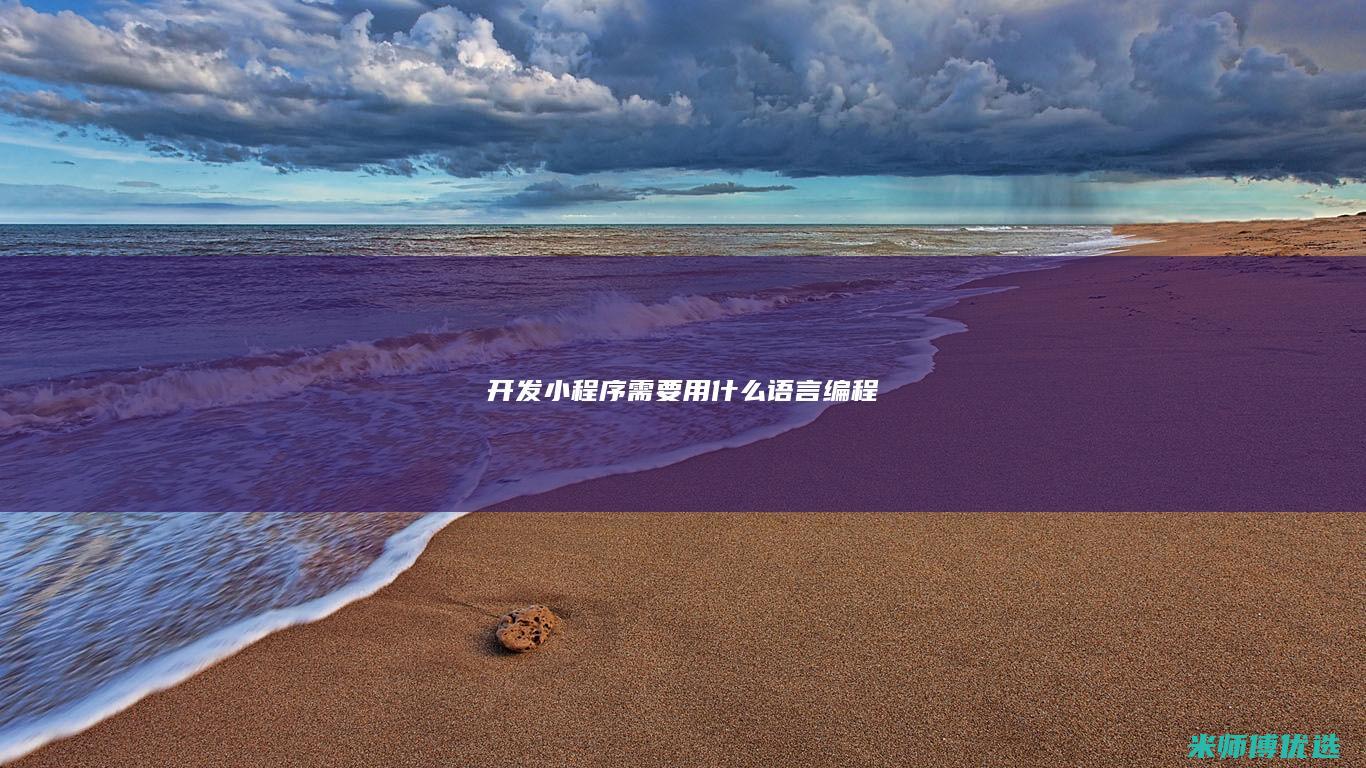开发小程序需要用什么语言编程