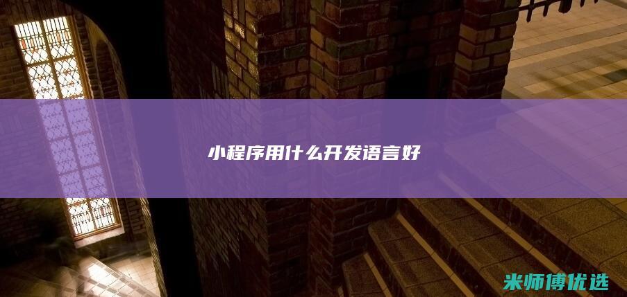 小程序用什么开发语言好