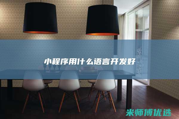 小程序用什么语言开发好