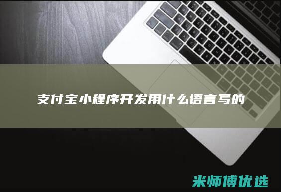 支付宝小程序开发用什么语言写的