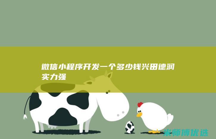 微信小程序开发一个多少钱兴田德润实力强