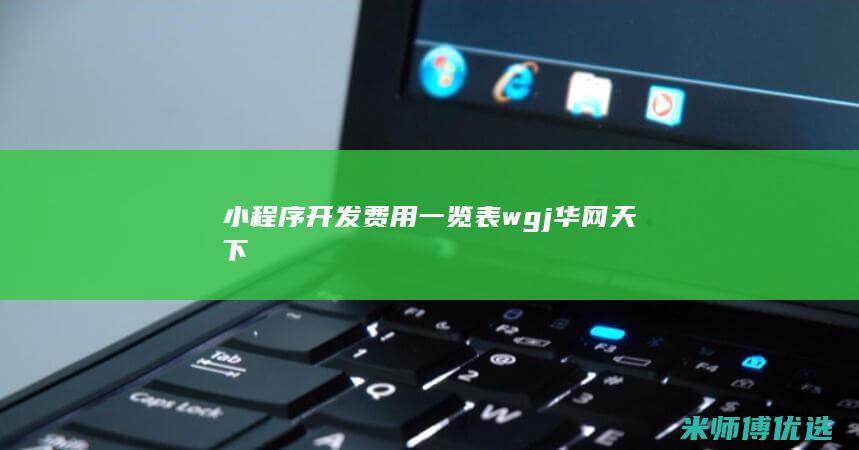 小程序开发费用一览表wgj华网天下