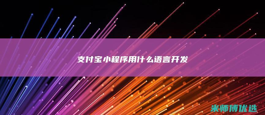 支付宝小程序用什么语言开发