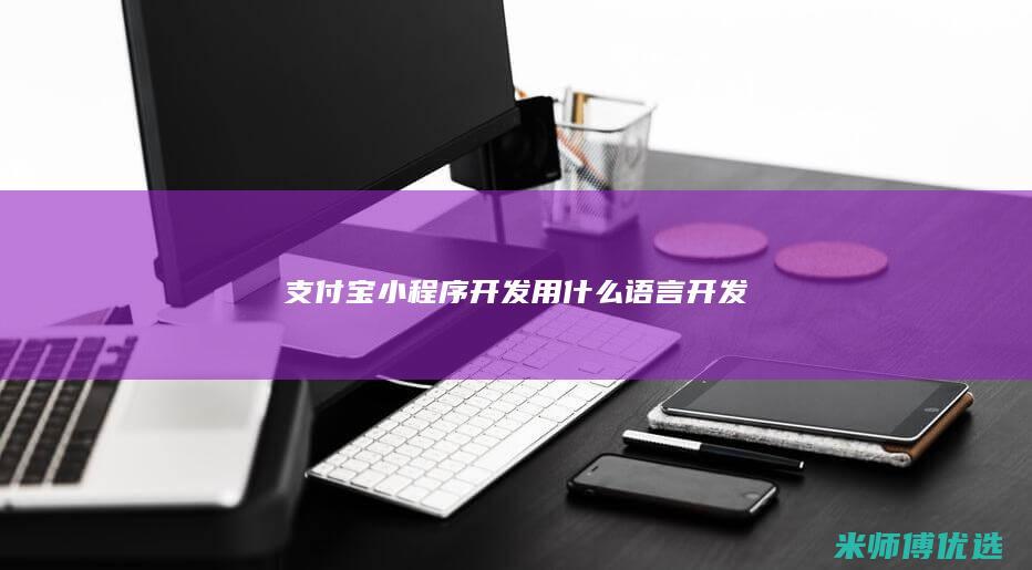 支付宝小程序开发用什么语言开发