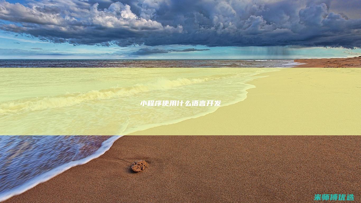 小程序使用什么语言开发