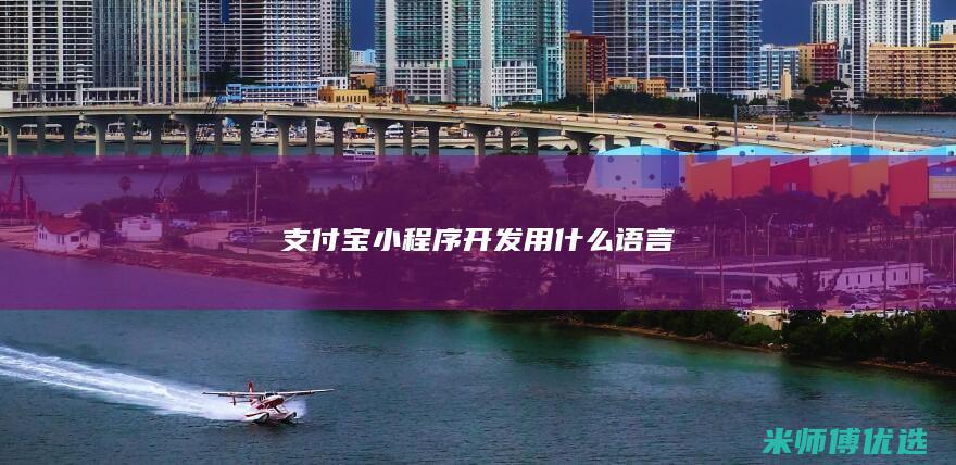 支付宝小程序开发用什么语言