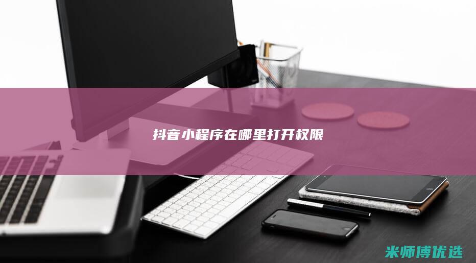 抖音小程序在哪里打开权限