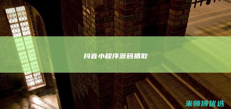 抖音小程序源码抓取