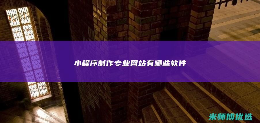 小程序制作专业网站有哪些软件