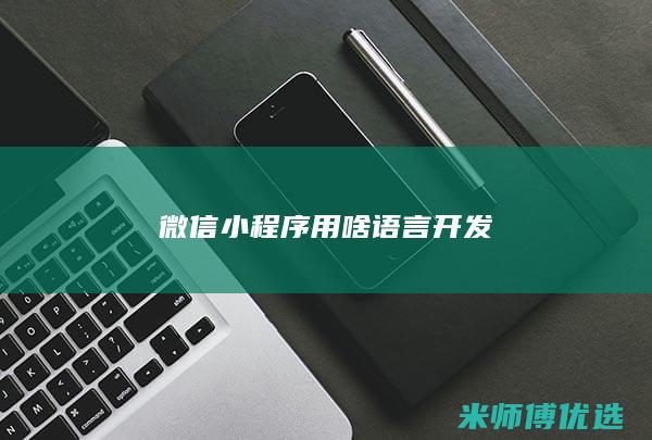 微信小程序用啥语言开发