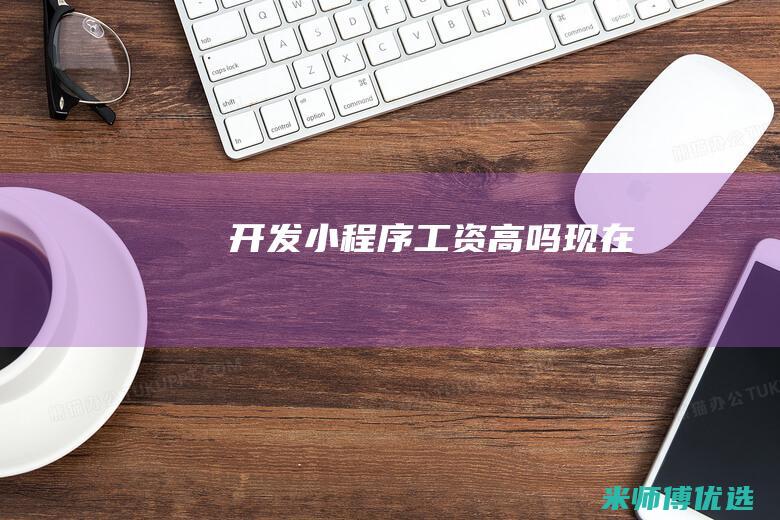 开发小程序工资高吗现在