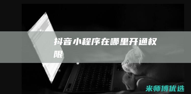 抖音小程序在哪里开通权限