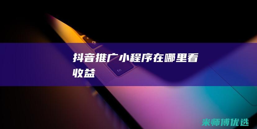 抖音推广小程序在哪里看收益