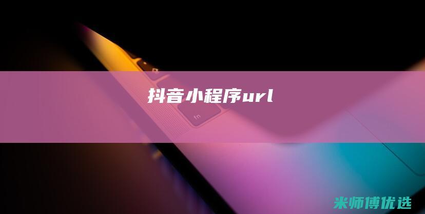 抖音小程序url