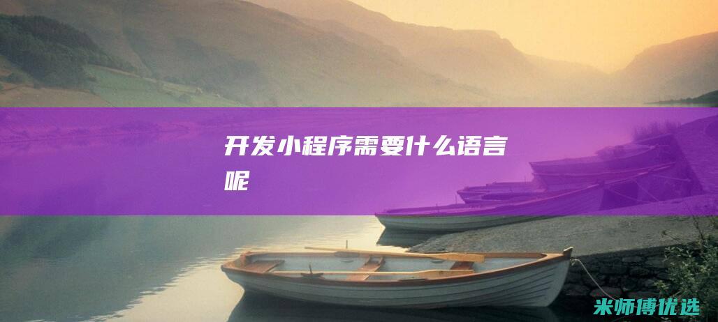 开发小程序需要什么语言呢