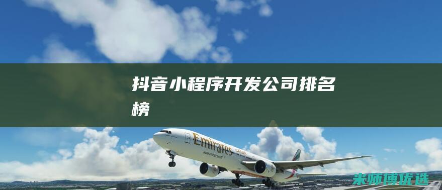 抖音小程序开发公司排名榜