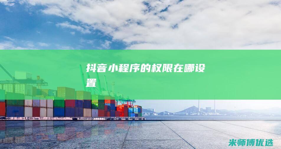 抖音小程序的权限在哪设置