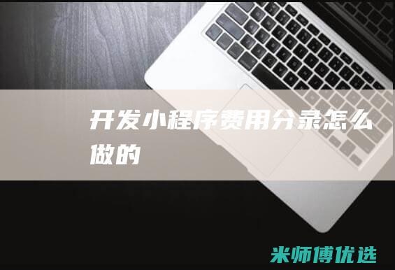 开发小程序费用分录怎么做的