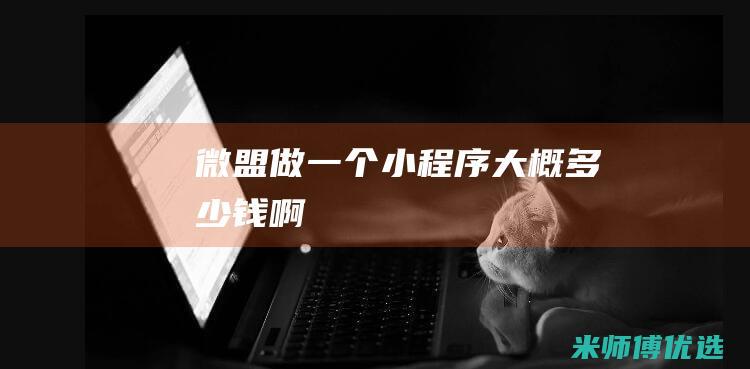 微盟做一个小程序大概多少钱啊
