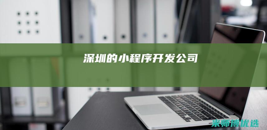 深圳的小程序开发公司