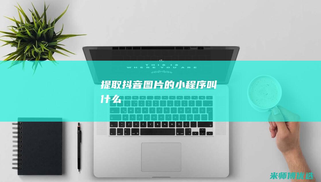提取抖音图片的小程序叫什么