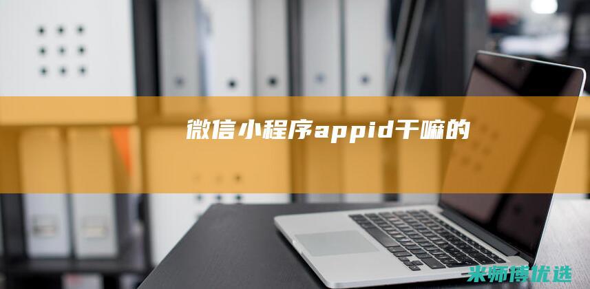 微信小程序appid干嘛的