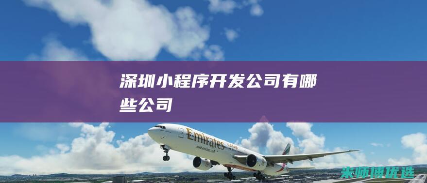深圳小程序开发公司有哪些公司